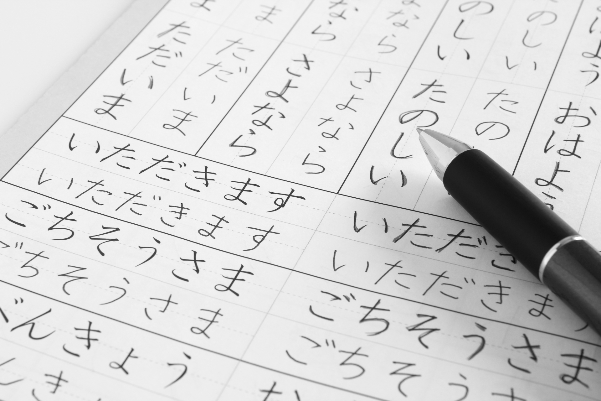 日本語能力と教育体制｜警備現場で求められる対応力