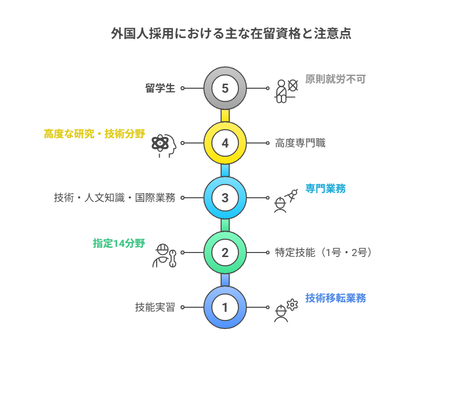 外国人採用における主な在留資格と注意点