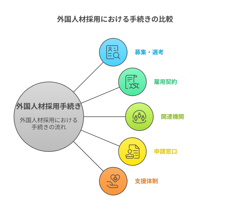 外国人材採用における手続きの比較